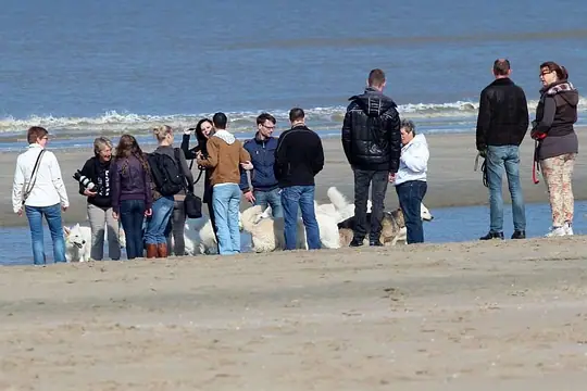 2014 Kennel Wandeling op 29 maart - foto 21 2014 Kennel Wandeling op 29 maart - foto 21