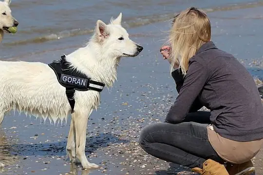 2014 Kennel Wandeling op 29 maart - foto 32 2014 Kennel Wandeling op 29 maart - foto 32