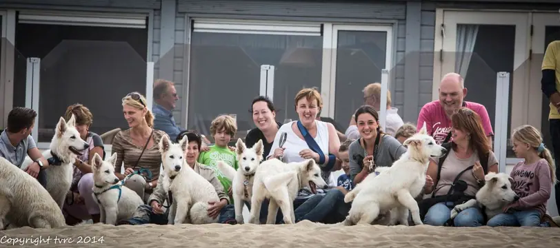 2014 Misthy's Friends Wandeling op 20 september - foto 23