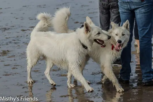 2014 Misthy's Friends Wandeling op 20 september - foto 11