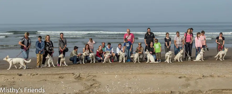 2014 Misthy's Friends Wandeling op 20 september - foto 17