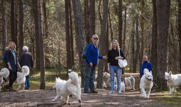 Misthy's Friends Wandeling in maart 2015 Misthy's Friends Wandeling in maart 2015