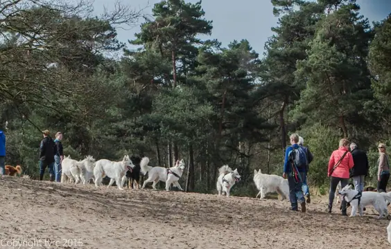 2015 Kennel Wandeling op 12 april - foto 6 2015 Kennel Wandeling op 12 april - foto 6