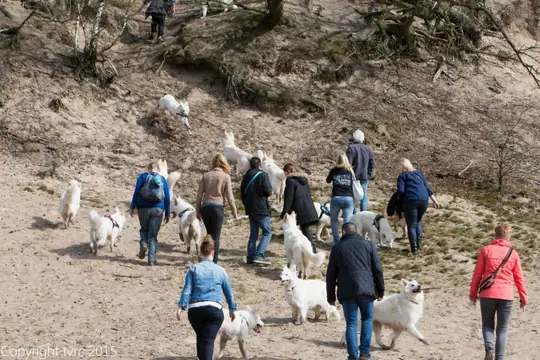 2015 Kennel Wandeling op 12 april - foto 9 2015 Kennel Wandeling op 12 april - foto 9