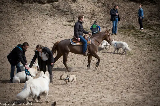 2015 Kennel Wandeling op 12 april - foto 10 2015 Kennel Wandeling op 12 april - foto 10