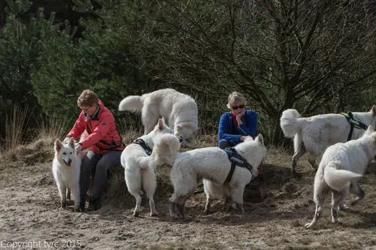 2015 Kennel Wandeling op 12 april - foto 11 2015 Kennel Wandeling op 12 april - foto 11