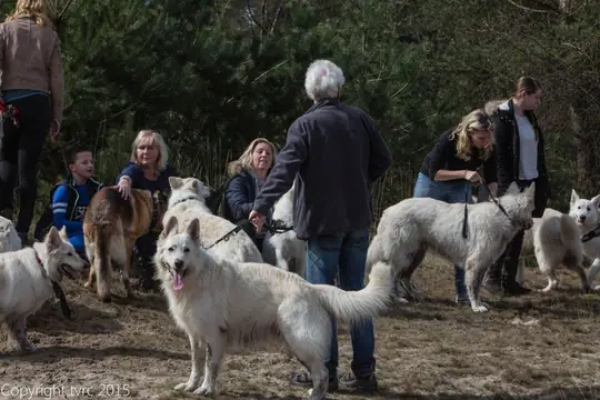 2015 Kennel Wandeling op 12 april - foto 13 2015 Kennel Wandeling op 12 april - foto 13