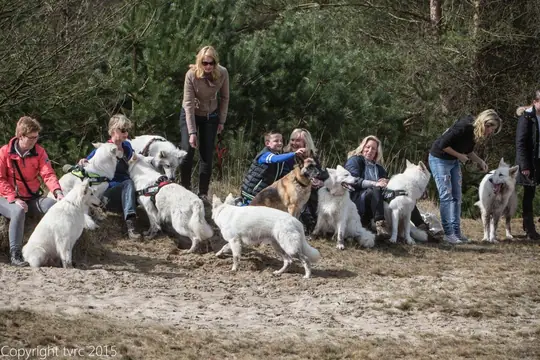 2015 Kennel Wandeling op 12 april - foto 12 2015 Kennel Wandeling op 12 april - foto 12