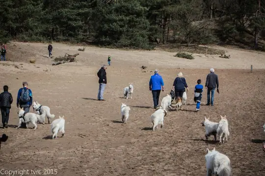2015 Kennel Wandeling op 12 april - foto 14 2015 Kennel Wandeling op 12 april - foto 14