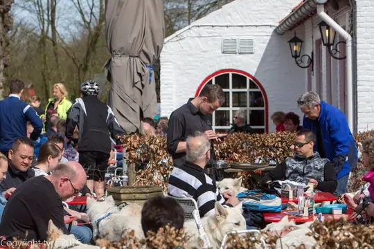 2015 Kennel Wandeling op 12 april - foto 17 2015 Kennel Wandeling op 12 april - foto 17