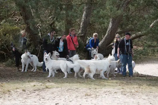 2015 Kennel Wandeling op 12 april - foto 20 2015 Kennel Wandeling op 12 april - foto 20