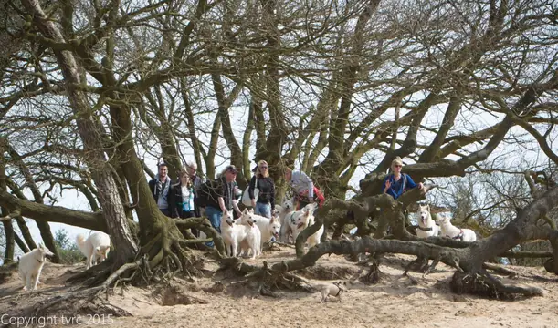 2015 Kennel Wandeling op 12 april - foto 21 2015 Kennel Wandeling op 12 april - foto 21