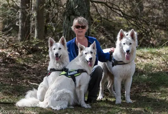 2015 Kennel Wandeling op 12 april - foto 27 2015 Kennel Wandeling op 12 april - foto 27
