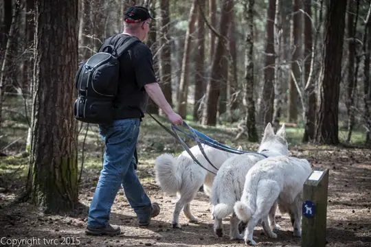 2015 Kennel Wandeling op 12 april - foto 22 2015 Kennel Wandeling op 12 april - foto 22