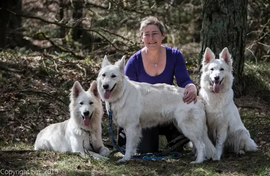 2015 Kennel Wandeling op 12 april - foto 29 2015 Kennel Wandeling op 12 april - foto 29