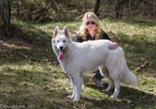 2015 Kennel Wandeling op 12 april - foto 26 2015 Kennel Wandeling op 12 april - foto 26