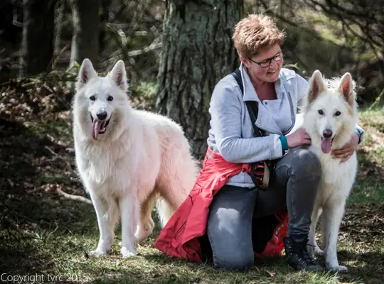 2015 Kennel Wandeling op 12 april - foto 23 2015 Kennel Wandeling op 12 april - foto 23