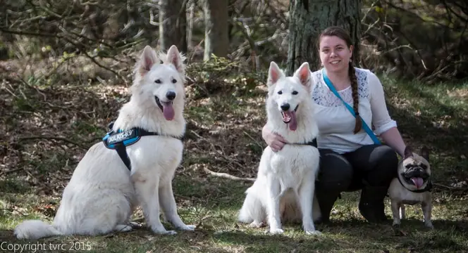 2015 Kennel Wandeling op 12 april - foto 25 2015 Kennel Wandeling op 12 april - foto 25