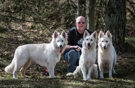 2015 Kennel Wandeling op 12 april - foto 28 2015 Kennel Wandeling op 12 april - foto 28