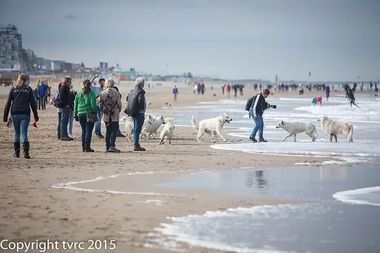 2015 Misthy's Friends Wandeling op 20 september 2015 - foto 20 2015 Misthy's Friends Wandeling op 20 september 2015 - foto 20