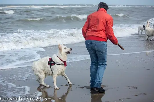 2015 Misthy's Friends Wandeling op 20 september 2015 - foto 34 2015 Misthy's Friends Wandeling op 20 september 2015 - foto 34