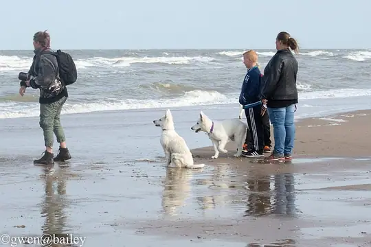 2015 Misthy's Friends Wandeling op 20 september 2015 - foto 45 2015 Misthy's Friends Wandeling op 20 september 2015 - foto 45
