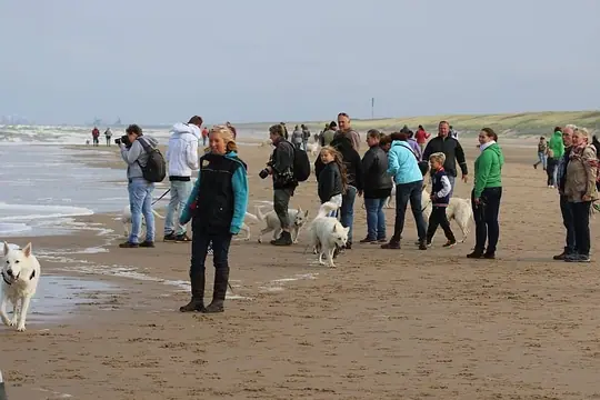 2015 Misthy's Friends Wandeling op 20 september 2015 - foto 46 2015 Misthy's Friends Wandeling op 20 september 2015 - foto 46