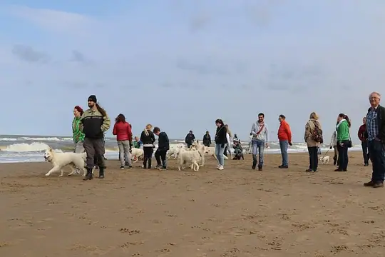 2015 Misthy's Friends Wandeling op 20 september 2015 - foto 47 2015 Misthy's Friends Wandeling op 20 september 2015 - foto 47