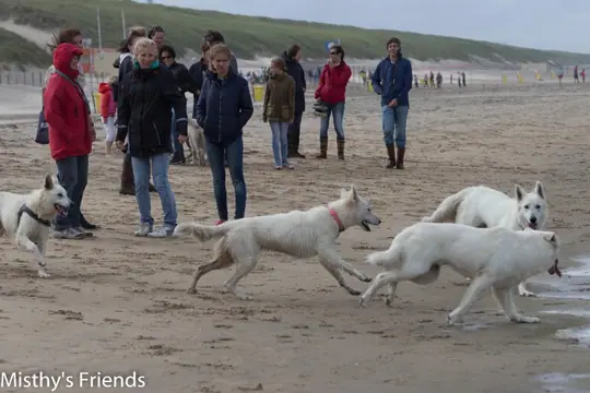 2016 M-nest Wandeling op 4 september 2016 - foto 24 2016 M-nest Wandeling op 4 september 2016 - foto 24