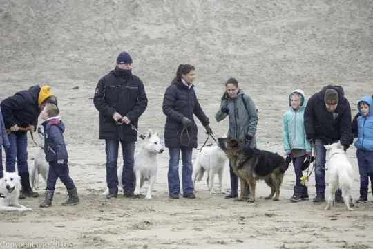 2016 Misthy's Friends Wandeling op 31 december - foto 17 2016 Misthy's Friends Wandeling op 31 december - foto 17