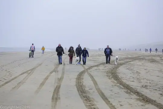 2016 Misthy's Friends Wandeling op 31 december - foto 26 2016 Misthy's Friends Wandeling op 31 december - foto 26