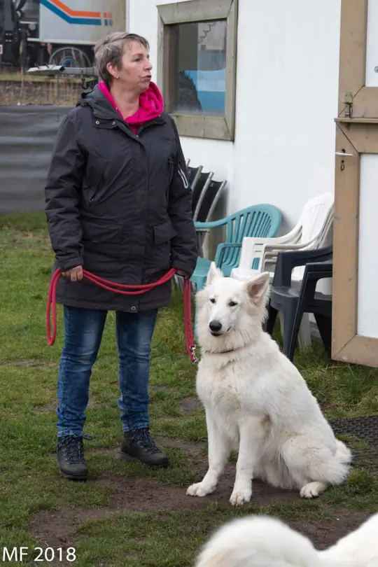 2018 Reünie O + P Nest op 13 januari - foto 3