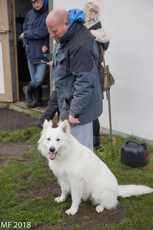 2018 Reünie O + P Nest op 13 januari - foto 4