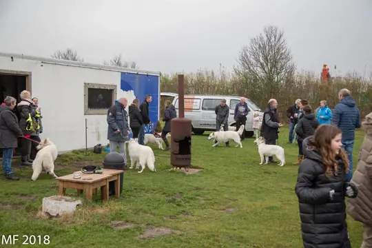 2018 Reünie O + P Nest op 13 januari - foto 5