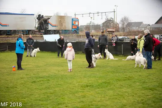 2018 Reünie O + P Nest op 13 januari - foto 10