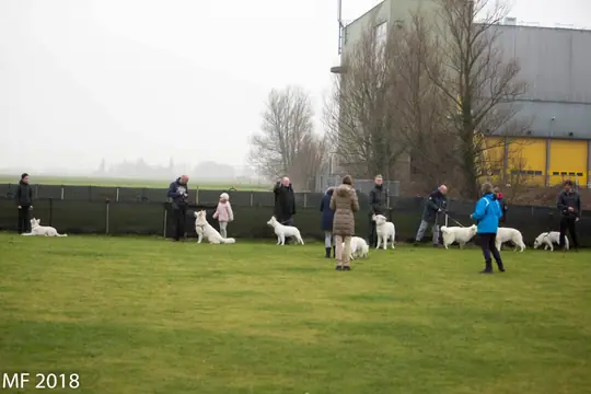 2018 Reünie O + P Nest op 13 januari - foto 15