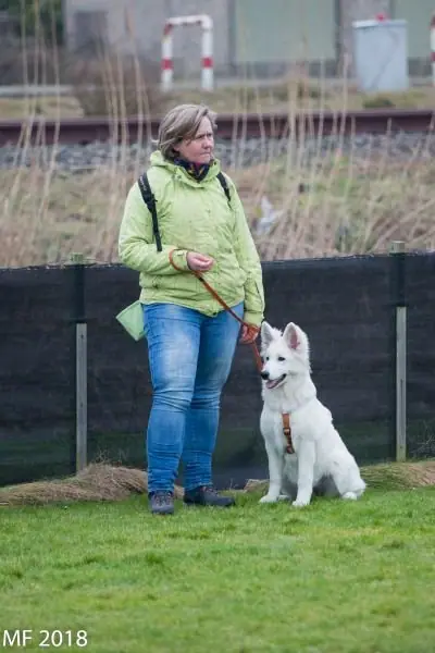 2018 Reünie O + P Nest op 13 januari - foto 28