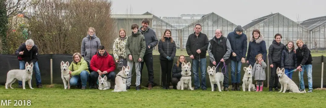 2018 Reünie O + P Nest op 13 januari - foto 1