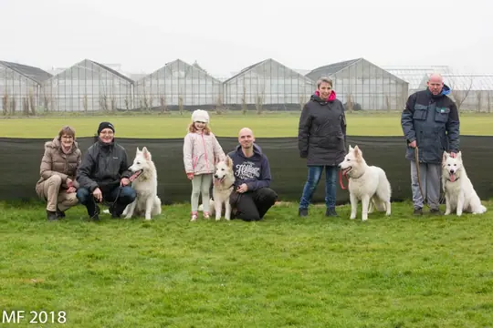 2018 Reünie O + P Nest op 13 januari - foto 2
