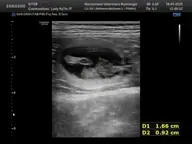 Echo gemaakt op 16 januari 2025 - Nestje Lady 2025 - foto 1