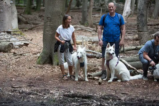 2022 Misthy's Friends Wandeling op 9 july - foto 63 2022 Misthy's Friends Wandeling op 9 july - foto 63