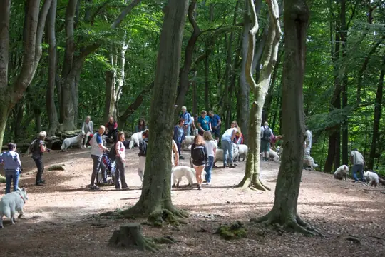 2022 Misthy's Friends Wandeling op 9 july - foto 49 2022 Misthy's Friends Wandeling op 9 july - foto 49