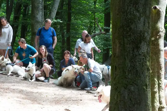 2022 Misthy's Friends Wandeling op 9 july - foto 48 2022 Misthy's Friends Wandeling op 9 july - foto 48
