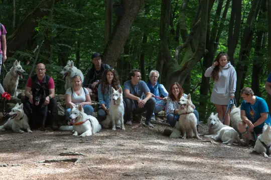 2022 Misthy's Friends Wandeling op 9 july - foto 45 2022 Misthy's Friends Wandeling op 9 july - foto 45