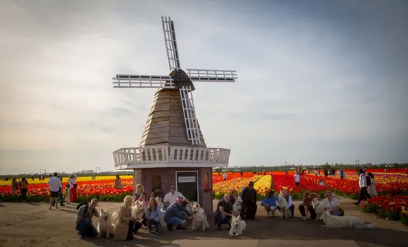 GROEPSFOTO'S