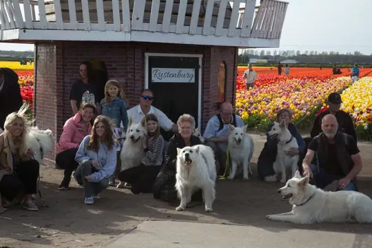 GROEPSFOTO'S