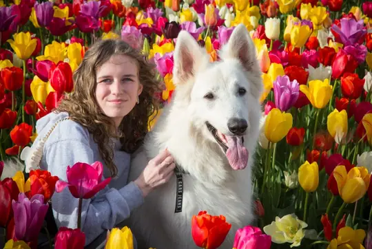 Misthy's Friends Marduk by the Tulip Barn
