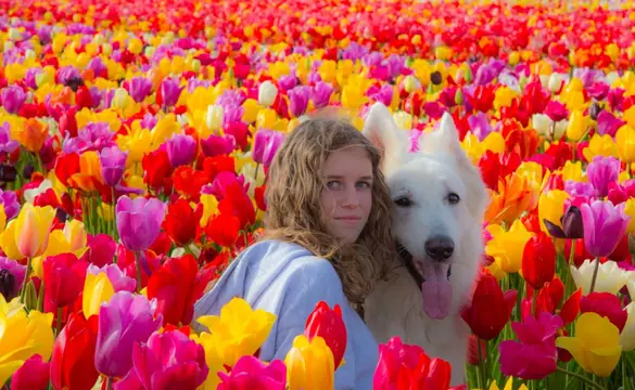 Misthy's Friends Marduk by the Tulip Barn