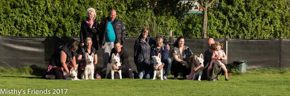 Zwitserse witte herders van Misthy's Friends - foto 13