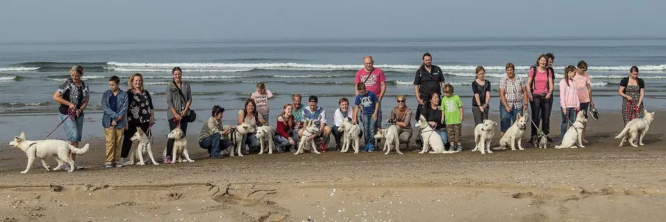 Zwitserse witte herders van Misthy's Friends - foto 38